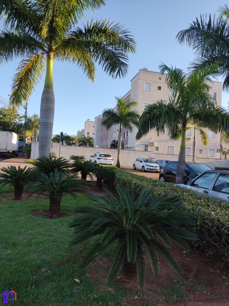 RUA .GLEDSTONE DE  ABREU CARDOSO - Sao Jose do Rio Preto/SP